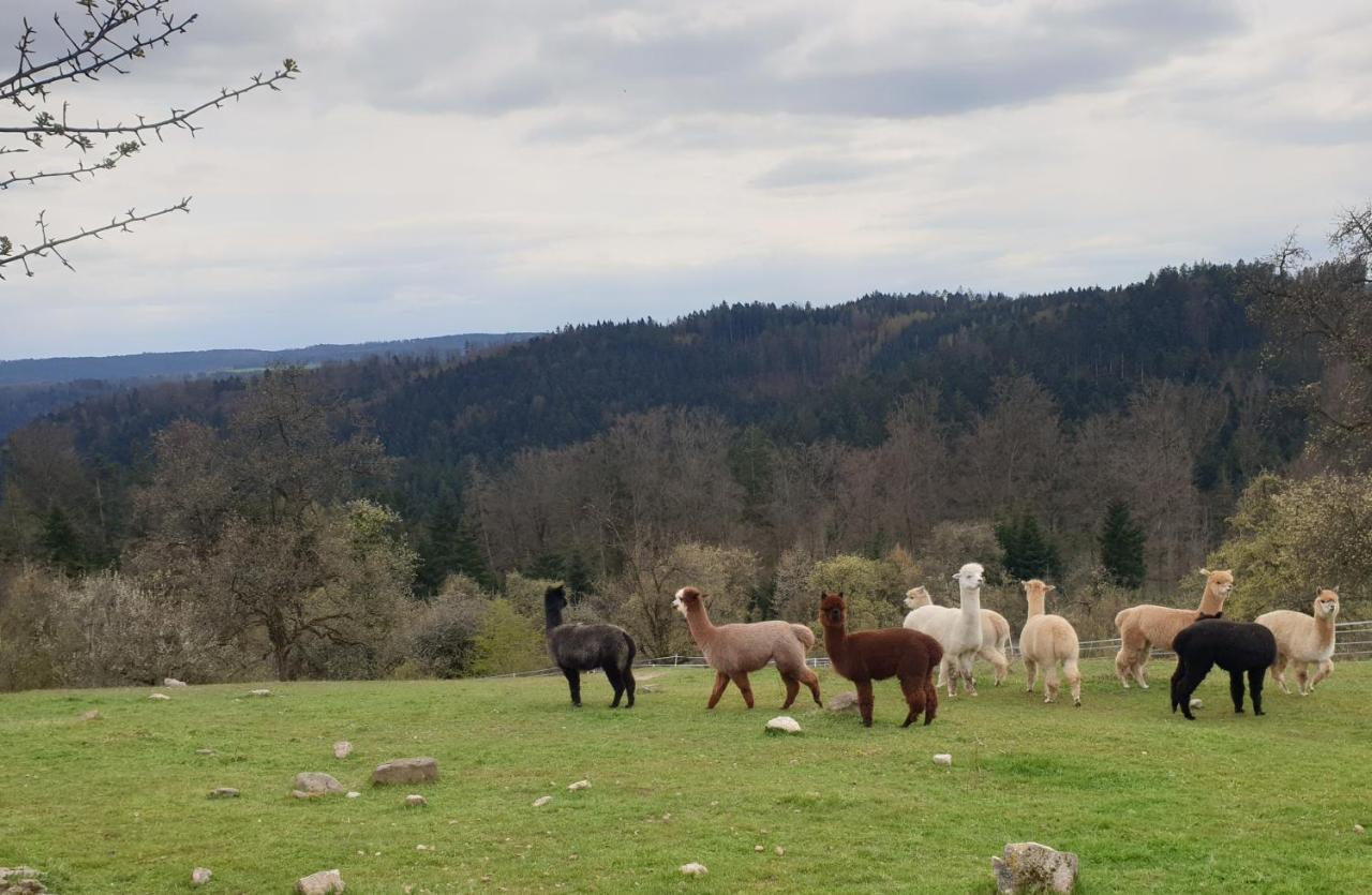 Lana Salta Alpakas - Gemuetliche Ferienwohnungen Auf Dem Bauernhof Murrhardt Exterior photo