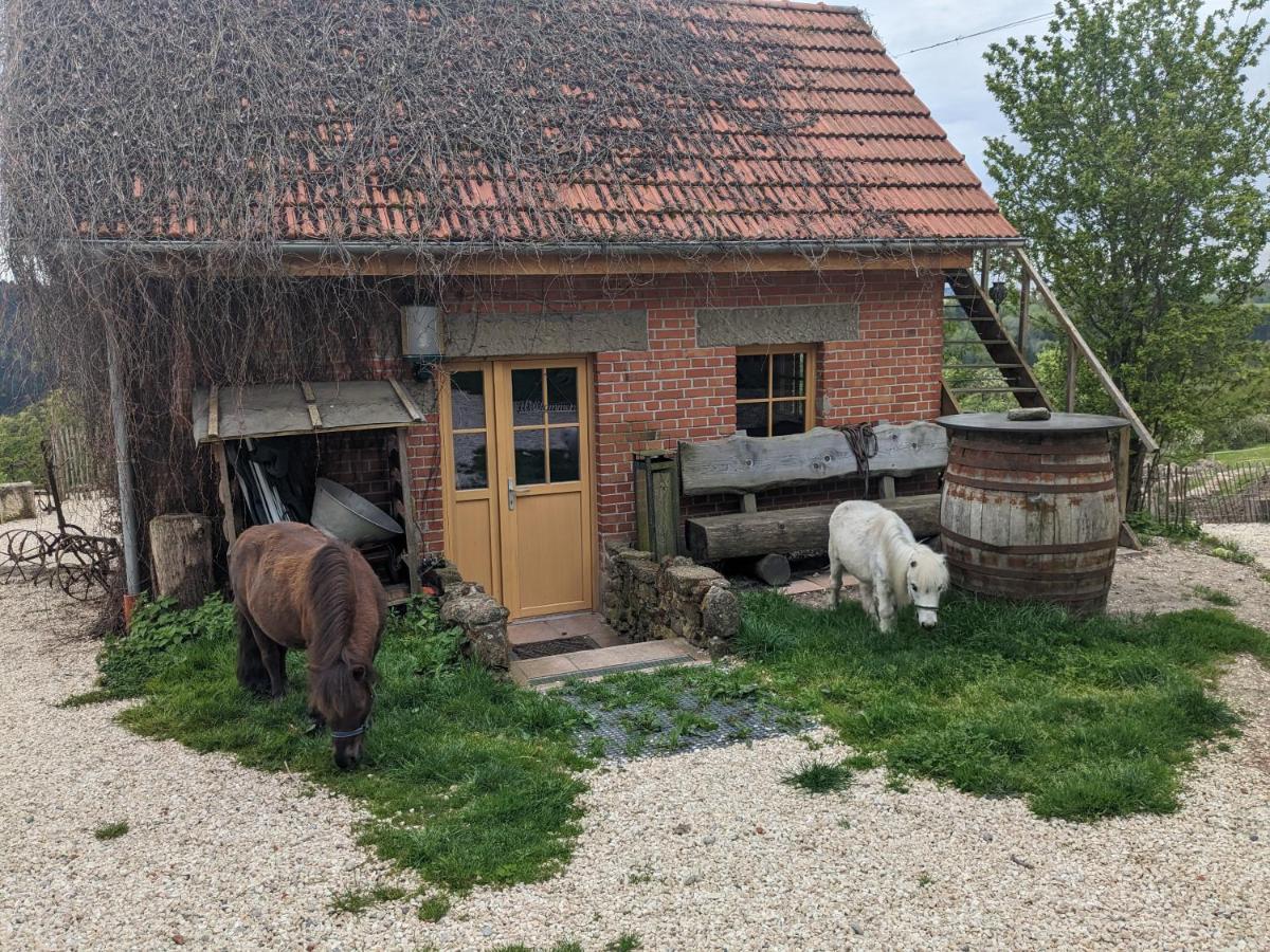 Lana Salta Alpakas - Gemuetliche Ferienwohnungen Auf Dem Bauernhof Murrhardt Exterior photo