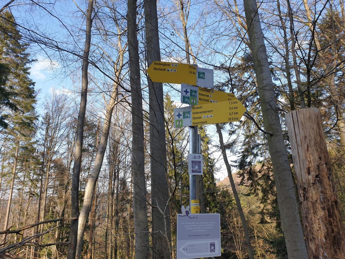 Lana Salta Alpakas - Gemuetliche Ferienwohnungen Auf Dem Bauernhof Murrhardt Exterior photo